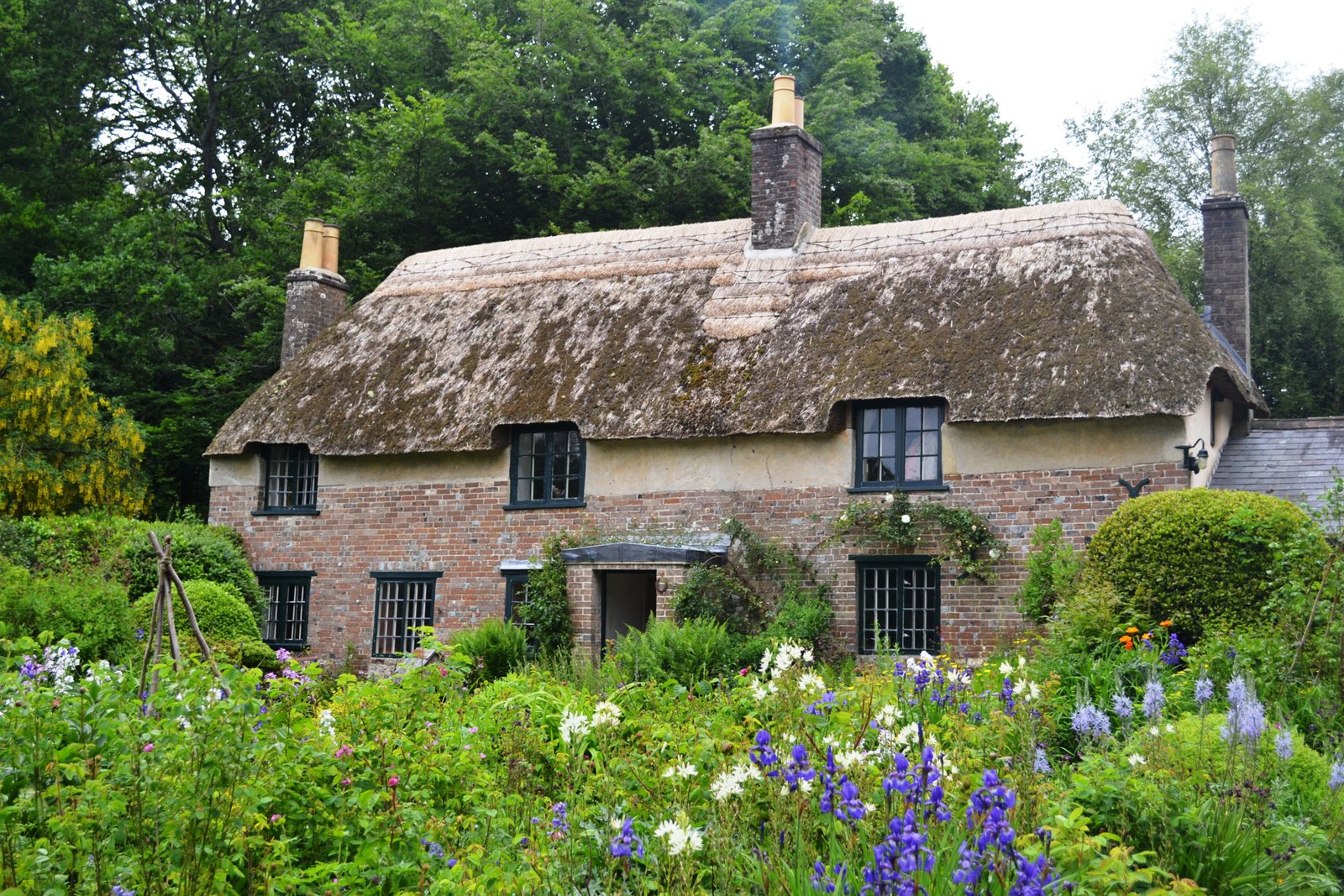 Visit Hardy S Cottage Higher Bockhampton Dorset